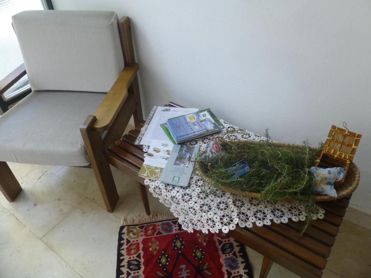 Apartment Dada Novi Vinodolski Dış mekan fotoğraf